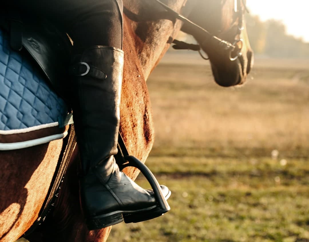 A close up of a young woman horse riding in sunset on the fields in franklin tn